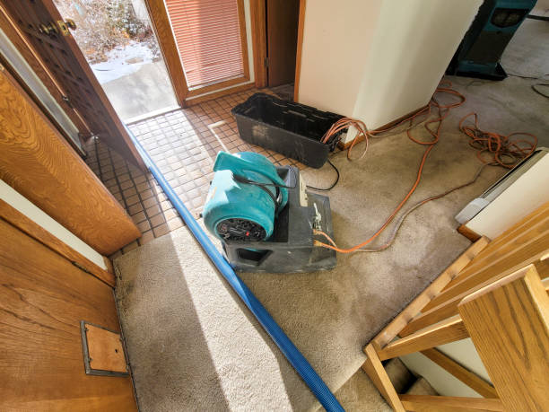 Best Water damage contractors near me  in Gastonia, NC