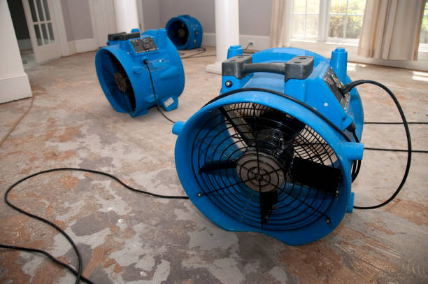 Best Water damage restoration mold remediation  in Gastonia, NC