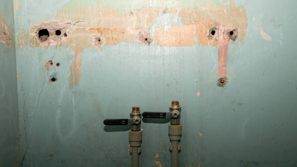 Best Water damage restoration near me  in Gastonia, NC