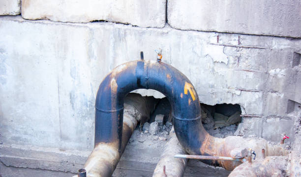 Best Mold removal after water damage  in Gastonia, NC
